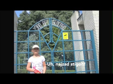 Kalina Film Zoo Vrt U Beogradu Druženje Sa životinjama