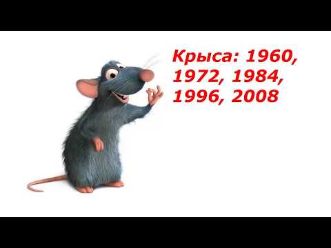 Крыса - характеристика знака