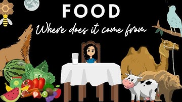 Class 6 Science Chapter 1 FOOD : Where does it come from