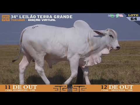 LOTE 064