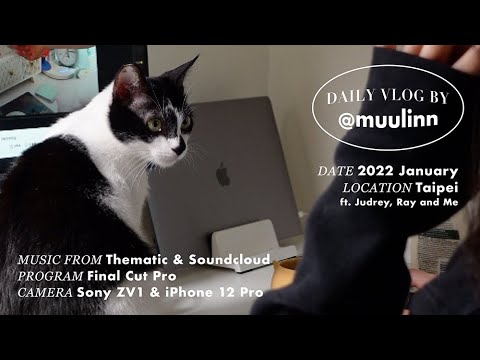 Vlog 050｜✨🐼 貓才是主角的一週（工作⌨️ 剪了新頭髮💇🏻‍♀️ 開箱📦 貓貓貓貓貓🐱）