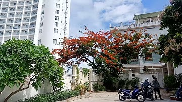 Biệt thự Vũng Tàu 154 Trần Phú phường 5