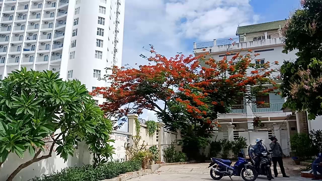 phim tren zing Biệt thự Vũng Tàu 154 Trần Phú phường 5