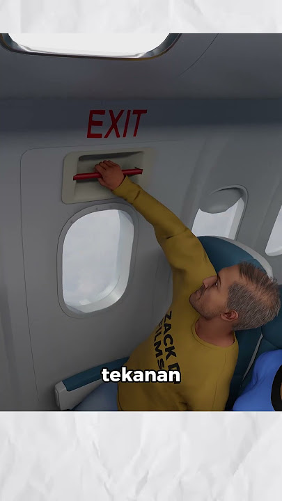 What Happens If You Open the Emergency Door in the Air #aviation #uniquefacts #facts