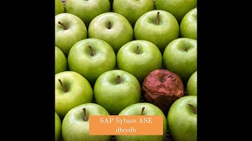 SAP Sybase ASE dbccdb