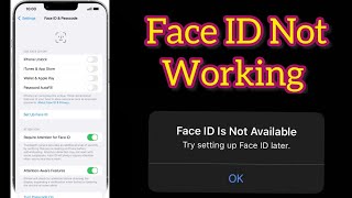 How to fix Face ID not working on iPhone After iOS 17.4 Update