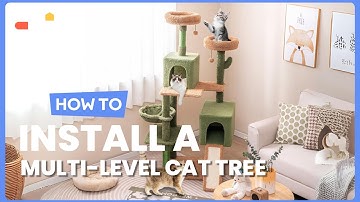 How to Install the Multi-level Cactus Cat Tree | 48516732 #costway #howto