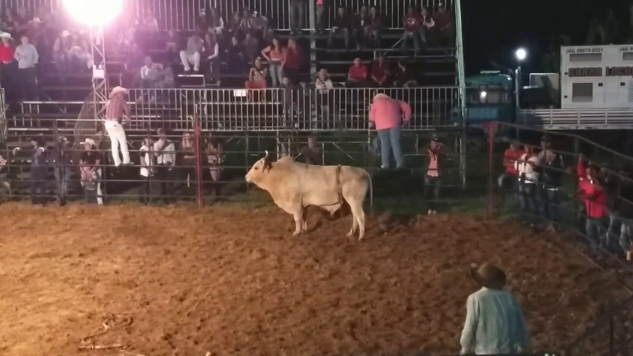 Ribeirão bonito PR rodeios show - YouTube