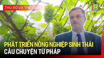Phát triển nông nghiệp sinh thái- câu chuyện từ Pháp | Thủ đô và thế giới