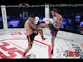 Sfc6 warrior honour  bg daniel iliev vs giuseppe di domenico it