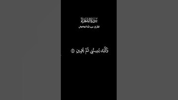 🌿|تِــــلاوَة ما تيسر من سُورَةُ الشُّعَرَاءِ#القرآن #سورة_الشعراء #Quran
