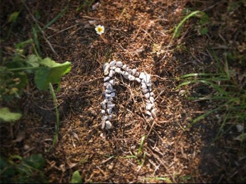 Vidéo: Quelle Est La Rune Uruz