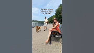 Seeing if my dog will recognize me on her walk #dogs #goldenretriever