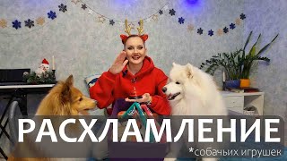 Расхламление собачьих игрушек 🐾🧸 | Я рассказываю, собаки играют