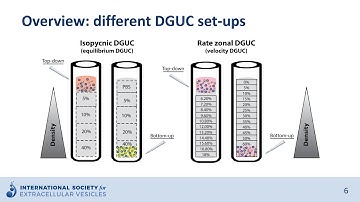Density gradient ultracentrifugation to isolate extracellular vesicles