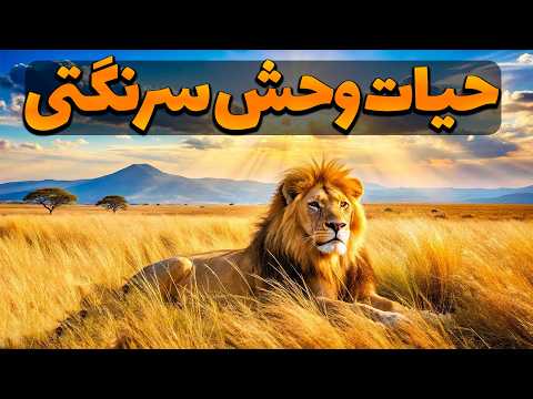 طبیعت بی رحم تانزانیا حیات وحش تانزانیا پارک ملی سرنگتی مستند فارسی حیات وحش سرنگتی