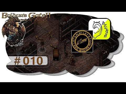 LPT Baldur's Gate 2 EE - Schatten von Amn - #010 - Portal 4 [Facecam]