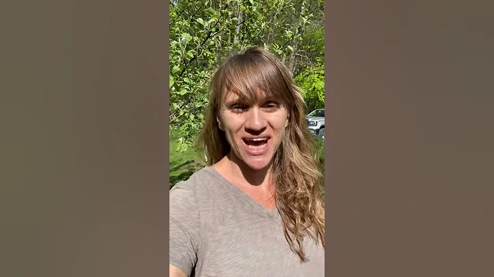 NH Gives 2020- Sara Curry