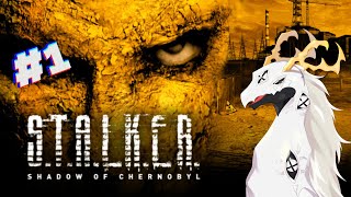 【S.T.A.L.K.E.R. SHADOW OF CHERNOBYL】なんかタルコフ系のゲームらしい　#1【白流といち】