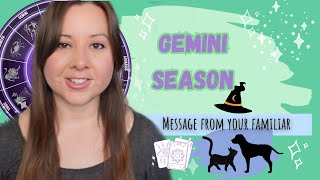 Gemini Season Tarot Reading for Witches and their Familiars