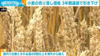 輸入小麦の売り渡し価格を3半期連続で引き下げ　政府(2024年9月12日)