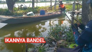 BARU PERTAMA MANCING DI SINI SUDAH DI SERANG IKAN BEGINI BANYAK