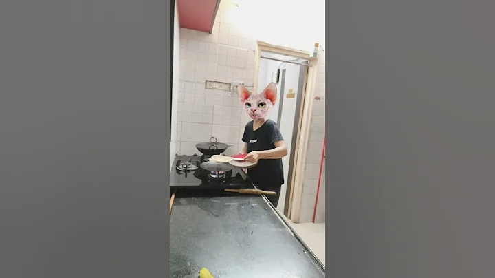 Video 8410421: sphynx cat cute, sphynx tom