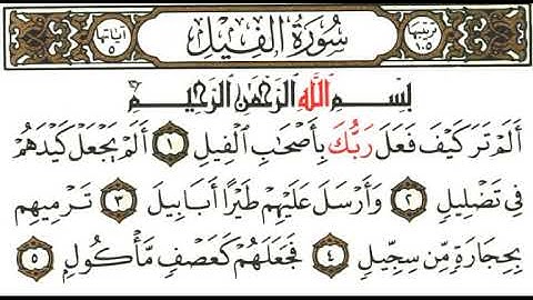 تلاوة نادرة سورة الفيل بصوت القارئ عبد الرؤوف شرفاوي