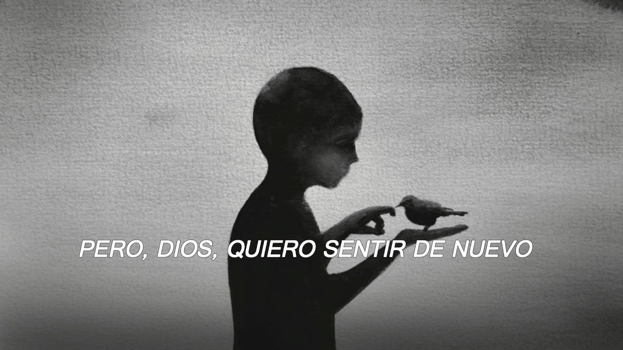 Sleeping At Last - Touch (Español)