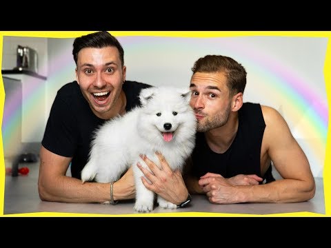 Video: Ben ik klaar om een hond te adopteren?