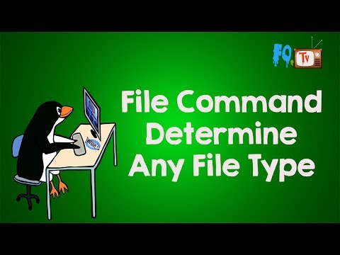 Linux Command Line Tutorial | file command to determine any file type | FOTV