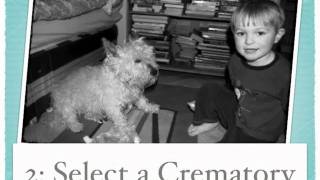 5 Tips When Planning A Pet Cremation!