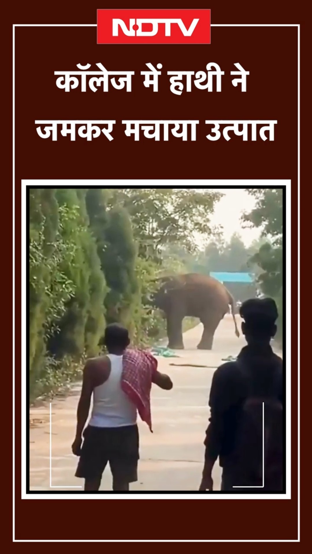 Odisha: Puri के एक कॉलेज परिसर में घुसा जंगली हाथी, मची अफरा-तफरी | Viral Video | NDTV | SHORTS