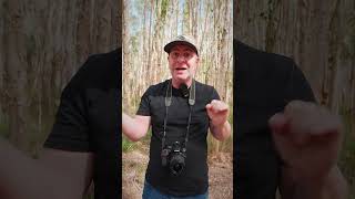 Aperture Explained In Less Than 60 Seconds! #shorts #aperture #photographybasics