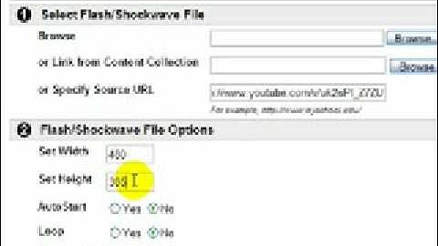 How to Embed a YouTube Video into a Blackboard Forum Post