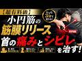 【超有料級】小円筋の筋膜リリースで首の痛みとシビレを治す!