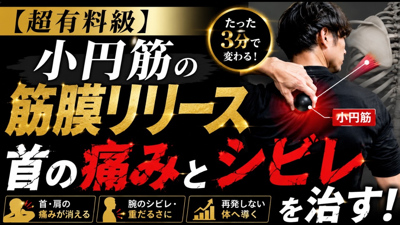 【超有料級】小円筋の筋膜リリースで首の痛みとシビレを治す!