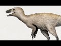 Aviatyrannis Jurassica / Abuela Tirana del Jurásico / PaleoPedias