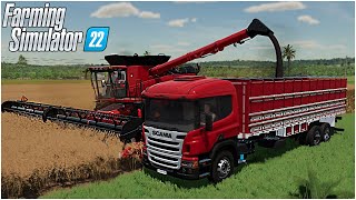 SEMINIAMO CANNE DA ZUCCHERO E TREBBIAMO COLZA - #10 FARMING SIMULATOR 22 ITA - Interior Of MS Brazil