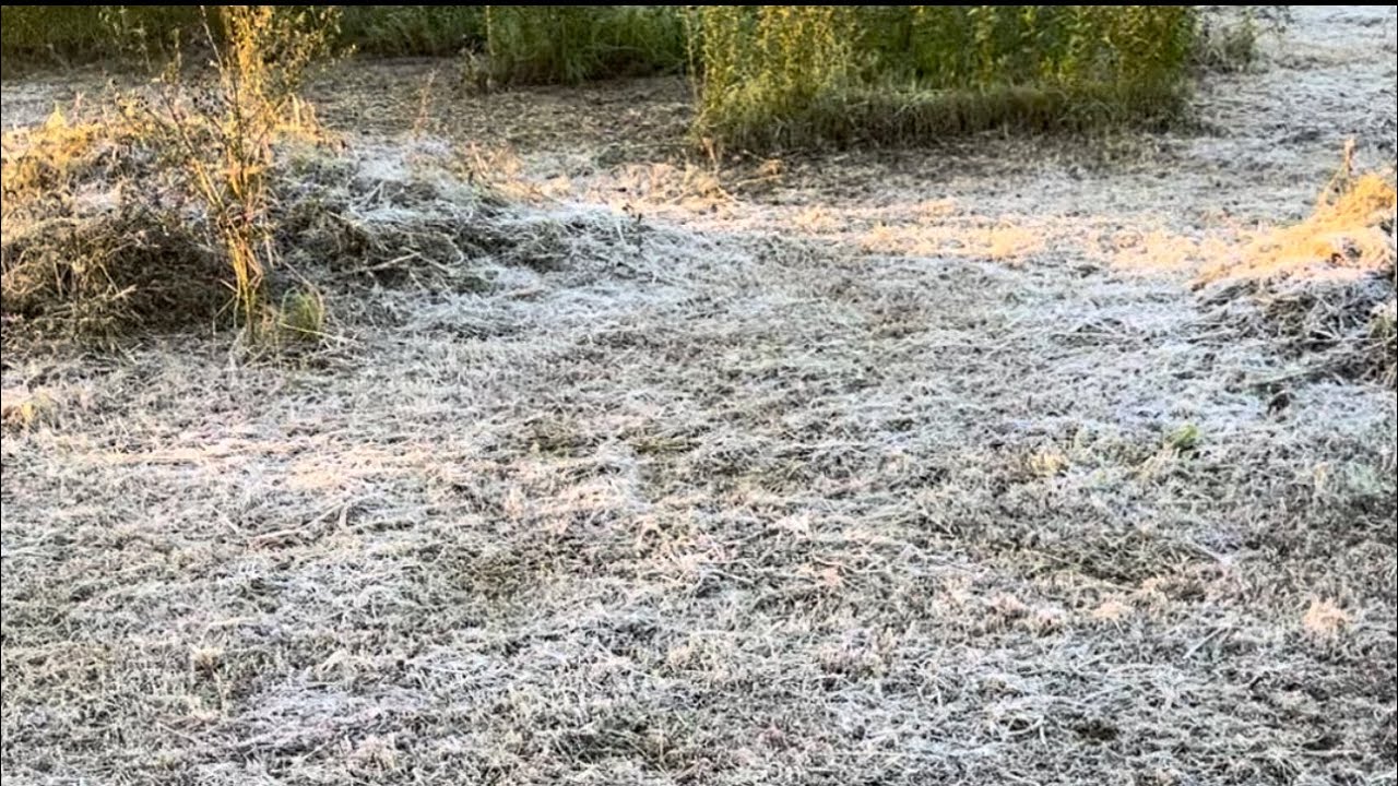 Tucumán: Fuerte helada en la mañana del domingo 30 de junio, 2024