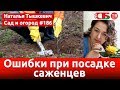 Посадка саженцев осенью без ошибки