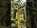 Builders building a bamboo house #bamboo #fyp #viral #building