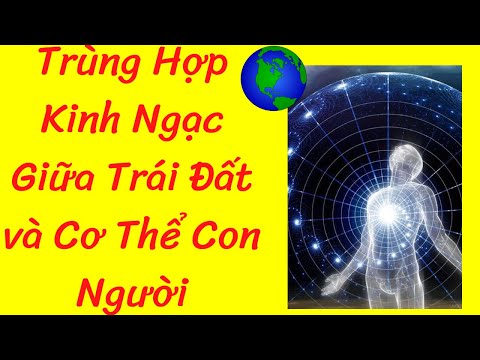 Video: Kinh tế thị trường như một cái bẫy đối với mô hình tiêu dùng