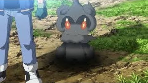 NEW CODE THATS SO OP (Project Polaro)