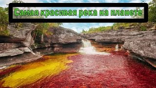 Каньо Кристалес — самая красивая река на Земле