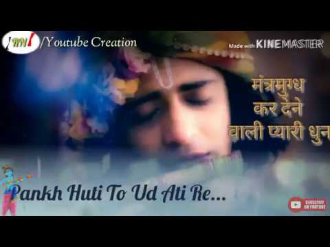 pankh-hote-to-ud-ati-re-|-instrumental-song-of-flute-|-radha-krishna..