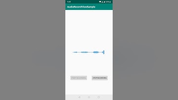 Demo of AudioRecordView (1.0.0)