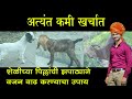 अत्यंत कमी खर्चात शेळीच्या पिल्लाची वजनवाढ करण्याचा उपाय | Goat Farming | Sheli Palan