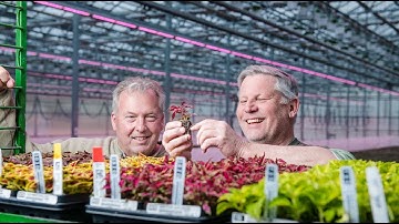 Grower sees increase in quality and production with switch to LED grow lights