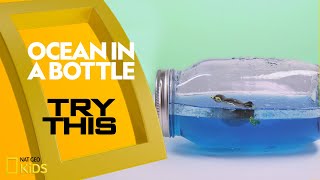 Ocean in a Bottle | Try This!